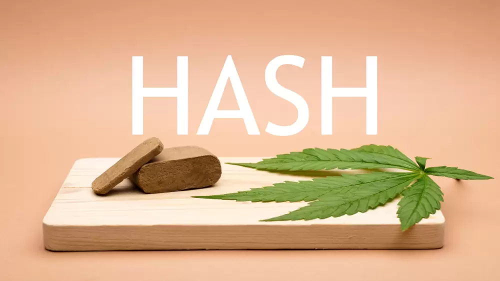 HASH CBD