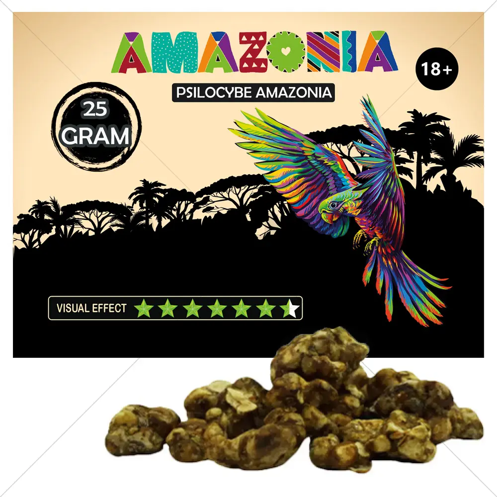 Trufas Psilocybe Amazonia