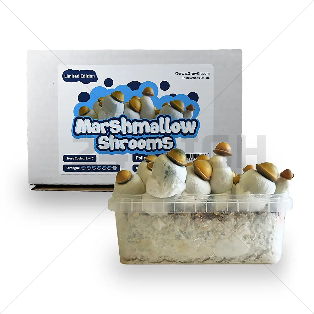 Kit de cultivo de setas Marshmallow Shrooms